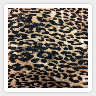 1980s retro girly  safari animal print leopard pattern Sticker